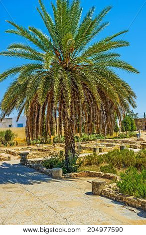 Enjoy Roman Mosaics In El Djem