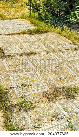 Decors Of Ancient Roman Villas, El Djem