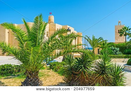 Ribat Of Monastir Through The Palms