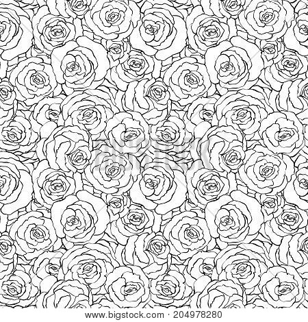 Seamless Roses Lineart Black And White