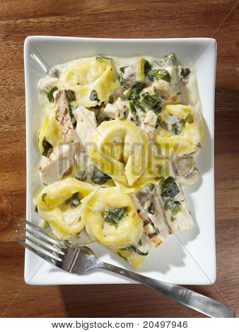 grilled chicken asiago tortollini overhead shot