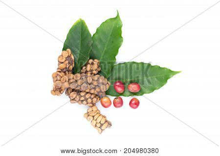 Kopi Luwak Or Civet Coffee, Coffee Beans Excreted By The Civet Isolated On White Background