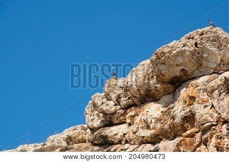 Close-up of stone rock with blue sky above with two pigeons