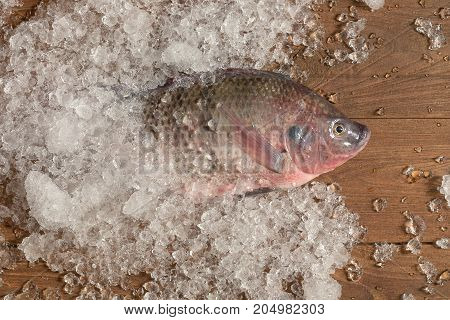 Fresh Nile Tilapia Mango Fish Nilotica Fish On Ice And Wooden Background