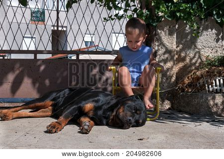 Kid sitting next to a dog outside while dog resting