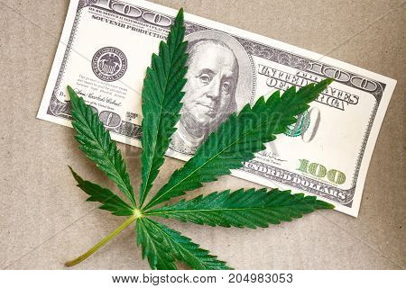 Money With Marijuana Leaf Close Up High Quality. Cannabis With Money Stock Photo