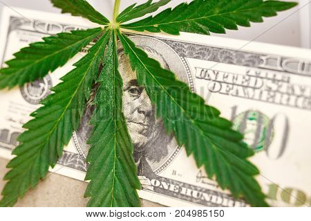 Element Of Bill Of The American Dollar With Sheet Of Cannabis, Marijuana. Money With  Leaf Of Hashis
