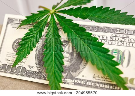 Element Of Bill Of The American Dollar With Sheet Of Cannabis, Marijuana. Money With  Leaf Of Hashis