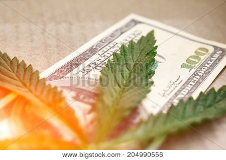 Element Of Bill Of The American Dollar With Sheet Of Cannabis, Marijuana. Money With  Leaf Of Hashis