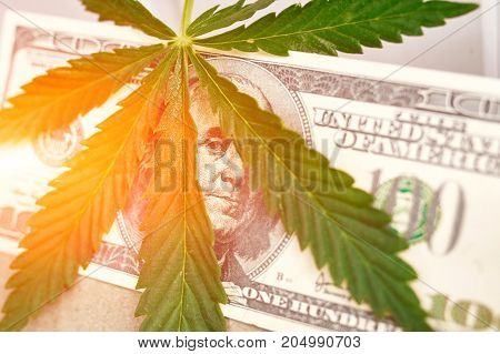 Element Of Bill Of The American Dollar With Sheet Of Cannabis, Marijuana. Money With  Leaf Of Hashis