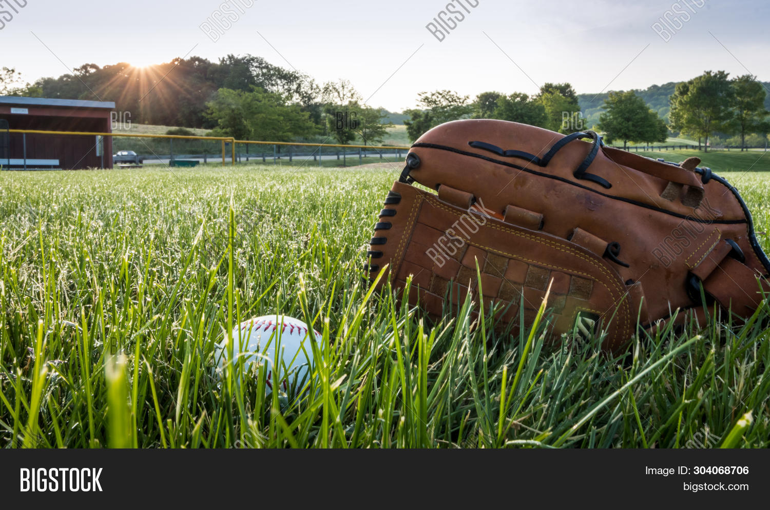 Baseball Glove On Image & Photo (Free Trial) Bigstock