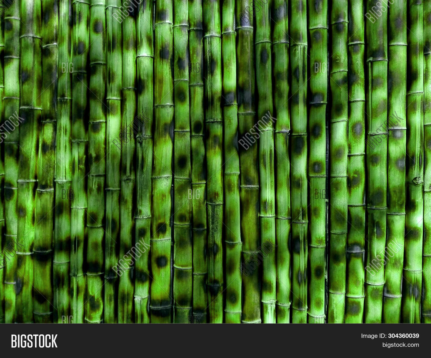 Green Bamboo Wall Image & Photo (Free Trial) Bigstock