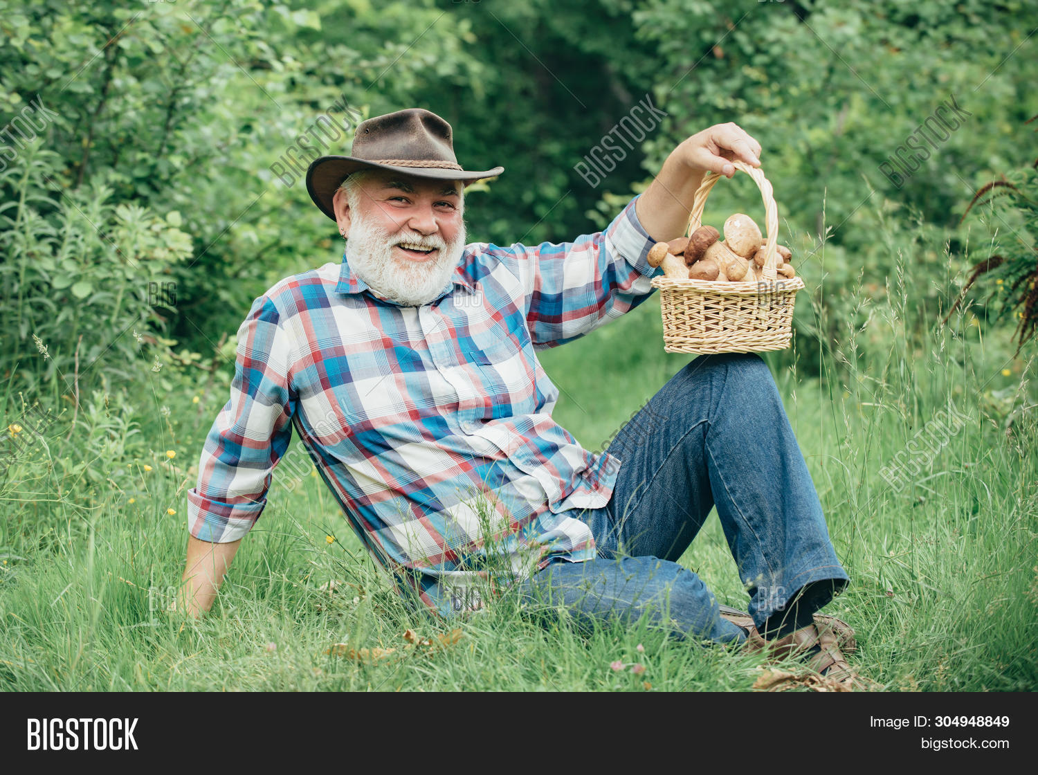 Picking Mushrooms. Image & Photo (Free Trial) Bigstock