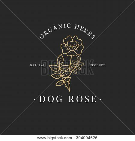 Dog-rose Flower. Logo For Spa And Beauty Salon, Boutique, Organic Shop, Wedding, Floral Designer, In