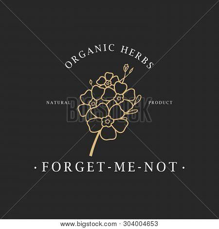 Forget Me Not Flower. Logo For Spa And Beauty Salon, Boutique, Organic Shop, Wedding, Floral Designe