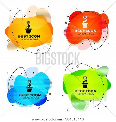 Black Bitcoin Plant In The Pot Icon Isolated. Business Investment Growth Concept. Blockchain Technol