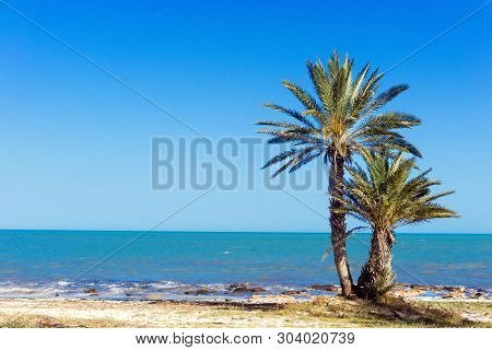 Beautiful Landscape Of The Mediterranean Sea With Palm Trees In Djerba, Tunisia