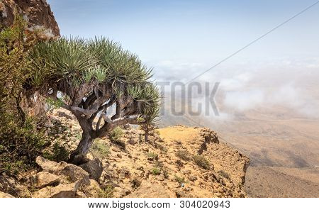 Scenic view from Jebel Samhan - an elevated plateau near Salalah, Oman