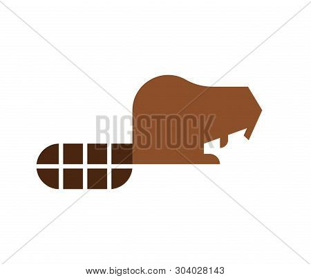Beaver Isolated Icon. Semi-aquatic Mammal Of Order Of Rodents