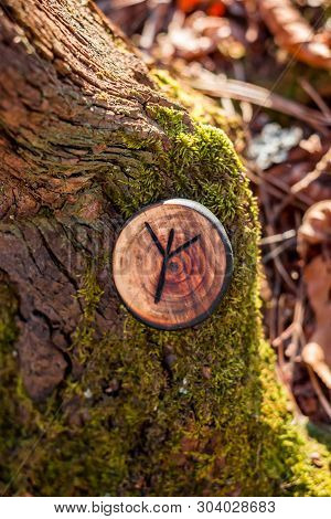 Rune Of Algiz (also Elhaz) Carved From Wood On A Dry Stump