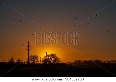 Silhouttes Of Birds Are Flocking Around A Powerline That Runs Through The East-flemish Country Side.