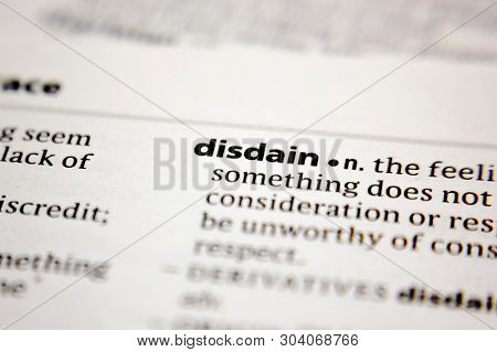 Word Or Phrase Disdain In A Dictionary.