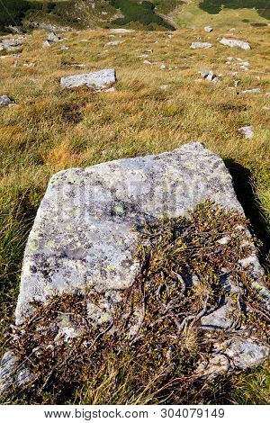 Stones On The Mountain Slope In The Ukrainian Carpathians.