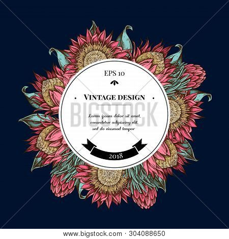 Badge Over Design With King Protea Hand Drawn Illustration