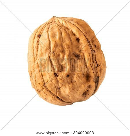 Walnut One Whole Walnut Isolated On White Clipping Path