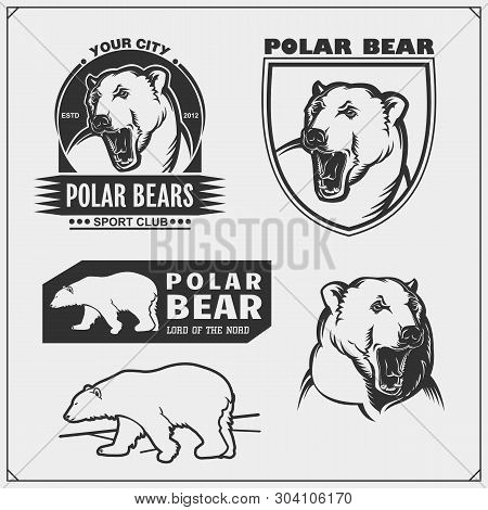Labels, Emblems And Design Elements For Sport Club With Polar Bear. Print Design For T-shirt.