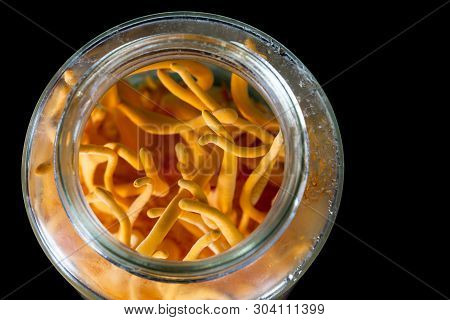 Cordyceps Militaris In Glass Bottles.fresh Cordyceps Militaris In Glass Bottles.