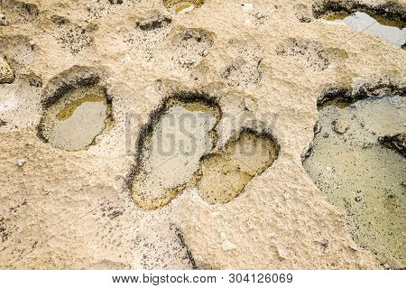 Stone Ground In Beach With Random Hollows Erosion By Wave