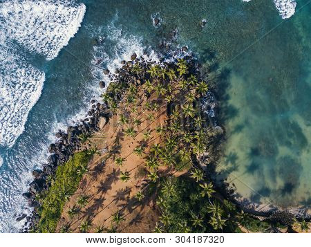 Aerial Top View Of Scenic Coconut Tree Hill In Mirissa, Sri Lanka. Coconut Tree Hill In Sri Lanka. C