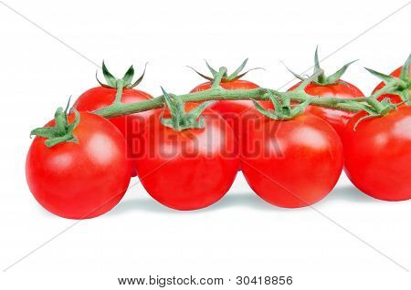 Pomodoro ciliegia