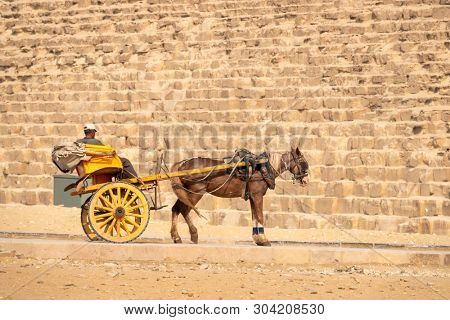 An image of a horse driver at the pyramids of Giza Cairo Egypt waiting for a tourist