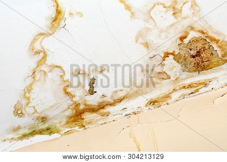 Rain Water Leaks On The Ceiling Because Of Damaged Roof Causing Decay, Peeling Paint And Moldy