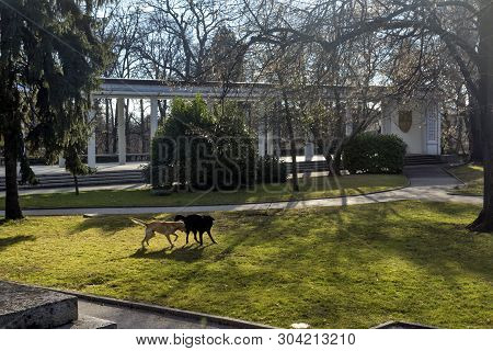 Hisarya, Bulgaria - December 26, 2018: Park At The Center Of Town Of Hisarya, Plovdiv Region, Bulgar