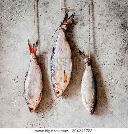 Salting Roaches, Handing To Dry And Salt Through, Square