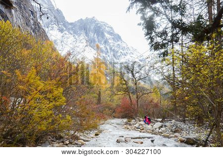 Colorful Forest And Snow Mountain  In The Winter Season At The Siguniang Scenic Area, Chengdu City, 