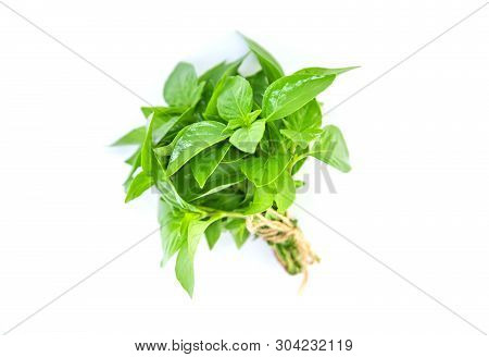 Fresh Homemade Greens From The Garden. Isolate Selective Focus.