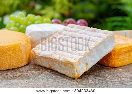 French Cheeses Collection, Yellow Riche De Saveurs, Vieux Pane And Le Peche Des Bons Peres Cheeses S