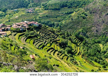 Viewpoint Of The Terraces (miradouro Dos Socalcos), Overlooking The Agricultural Terraces (famous Ti