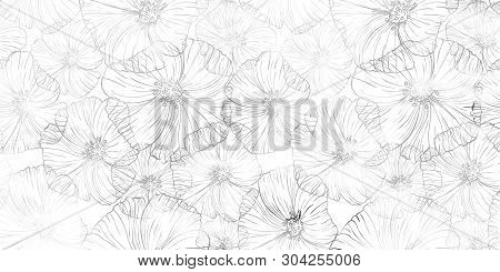 Hand-drawn Autentic Flower Surface Pattern With Piony.