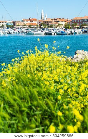 Scenic Harbour With Boats And Brightly Coloured Houses On The Flowers Forground Waterfront In Izola 