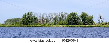 Nature Reserve The Oostvaardersplassen - Flevoland,  Almere.