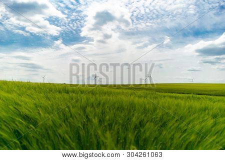 Green Wheat Field With Wind Turbines In Background Wallpaper