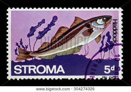 ZAGREB, CROATIA - JULY 03, 2014: A stamp issued in Stroma shows Haddock circa 1969.