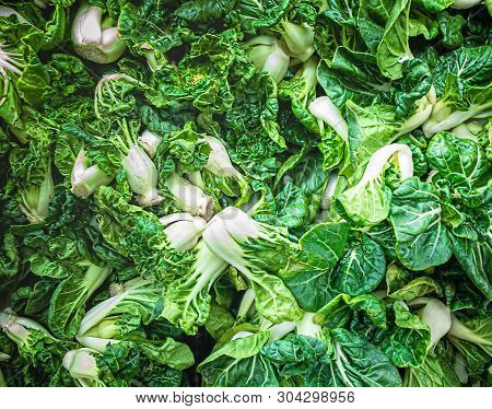 Regular True Baby Bok Choy Or Known As Siu Tau Pai Vegetable. Mini Chinese White Cabbage Mustard Gre
