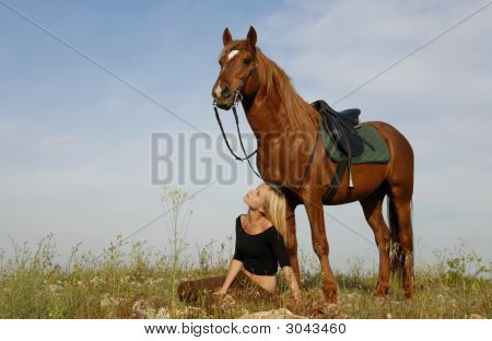 Teen a koně v oboru