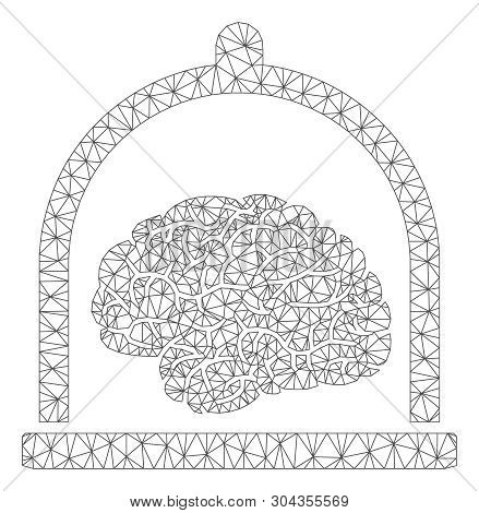 Mesh Brain Conservation Polygonal 2d Vector Illustration. Model Is Based On Brain Conservation Flat 